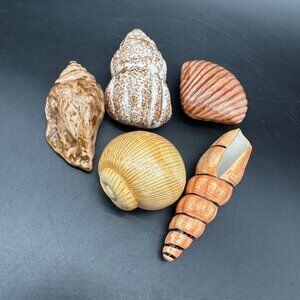 Vintage Seashell Figurine Set Of 5 Ceramic Shells Nautical Ocean Beach Decor